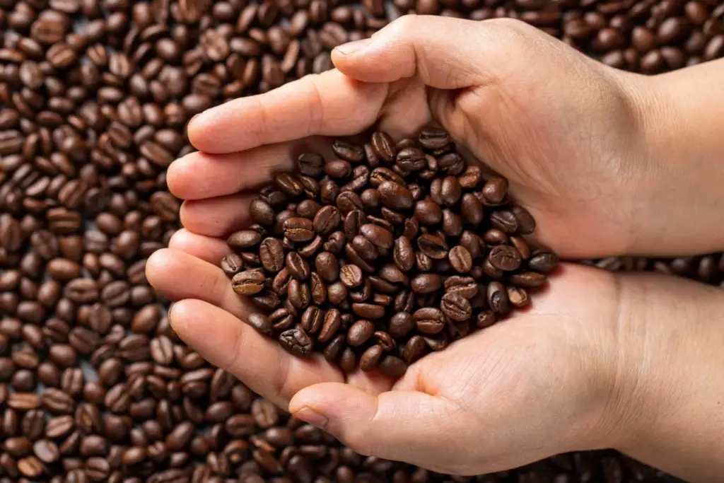 Beneficios del Café en Grano Natural