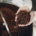 Café de Especialidad en Alicante: Todo lo que Necesitas Saber sobre la Revolución Cafetera de la Costa Blanca