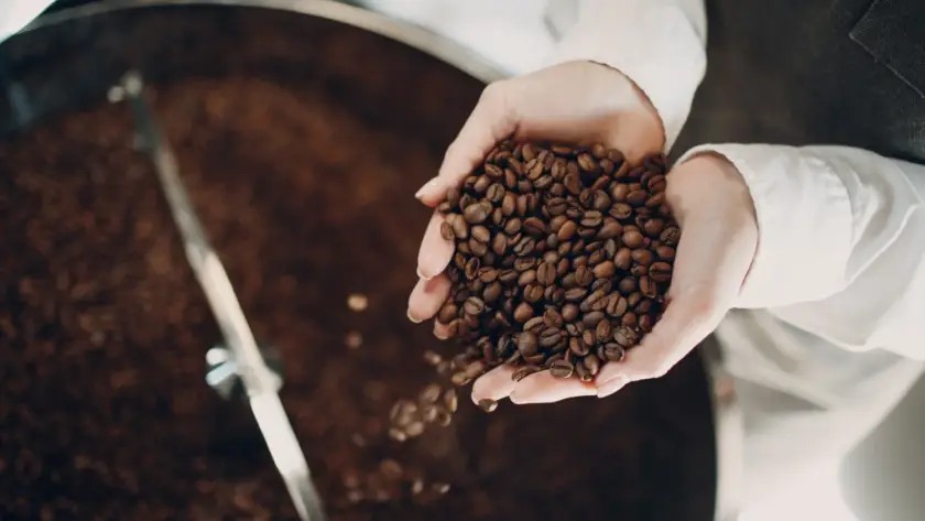 Barista sirviendo café de especialidad con precisión