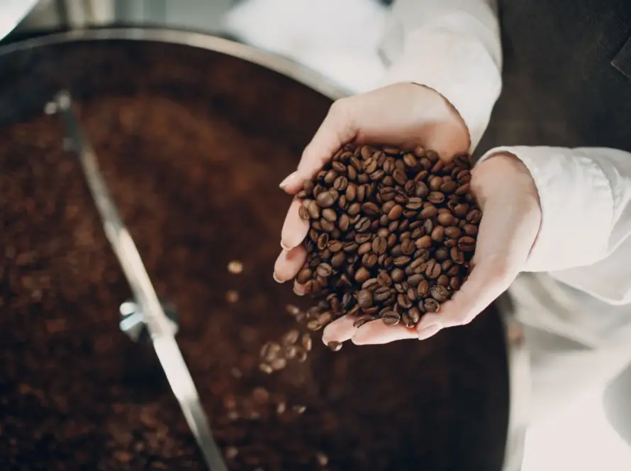 Barista sirviendo café de especialidad con precisión