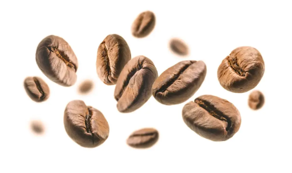 Cómo Seleccionar el Mejor Café en Grano para tu Gusto